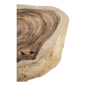 Moe's Home Collection Dendra Coffee Table Natural - EI-1070-24