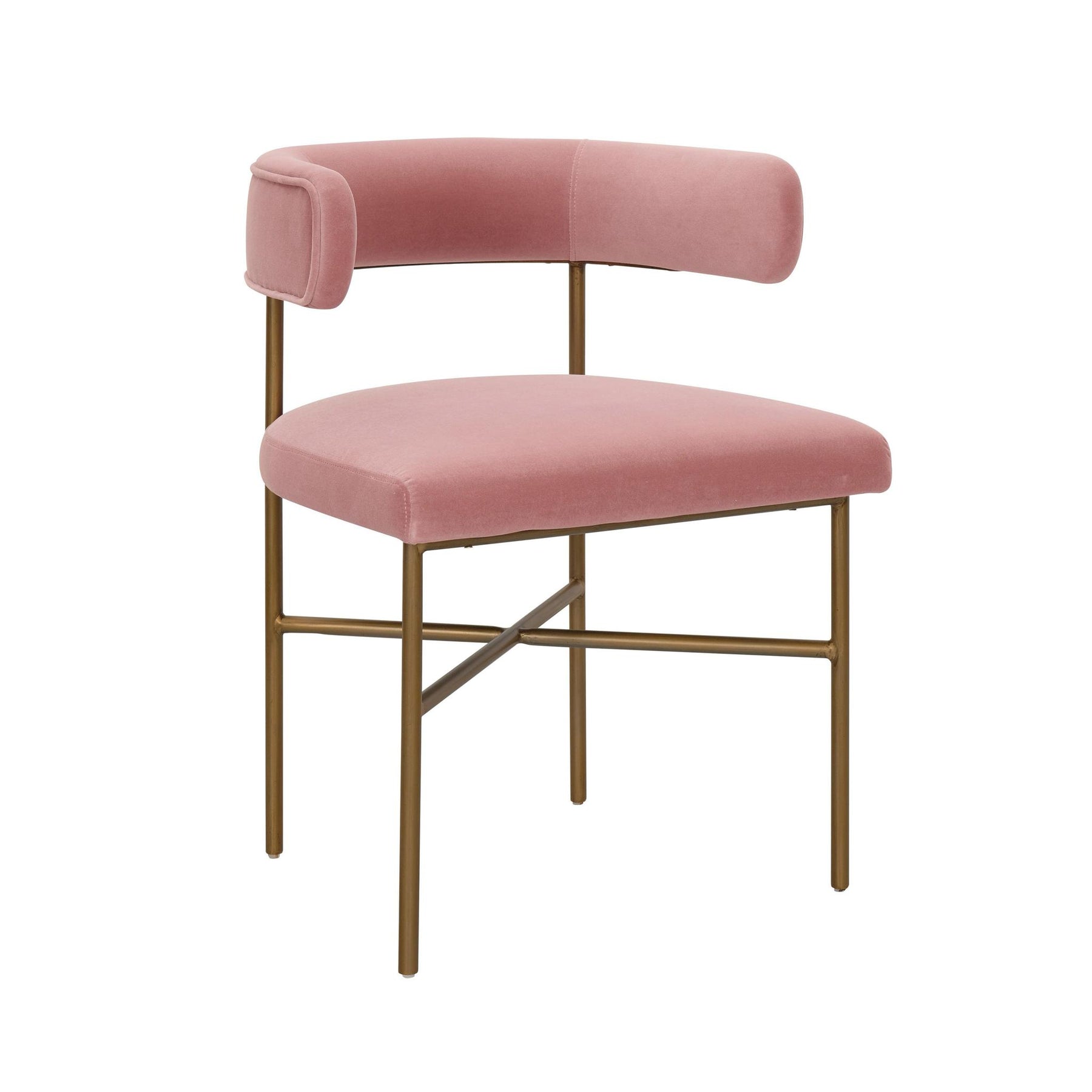 TOV Furniture Modern Kim Performance Velvet Chair in Blush - TOV-D6432