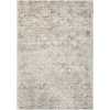 Nourison Grey kathy ireland Home Desert Skies Area Rug - DSK03